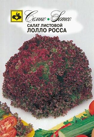 Семена Салат листовой Лолло Росса 2 пакета