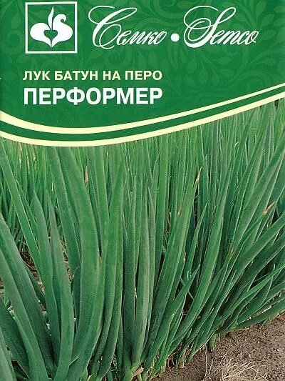 Семена Лук батун Перформер 1 пакет
