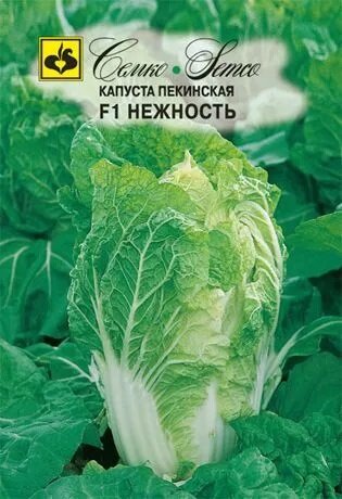 Семена Капуста пекинская Нежность 3 пакета