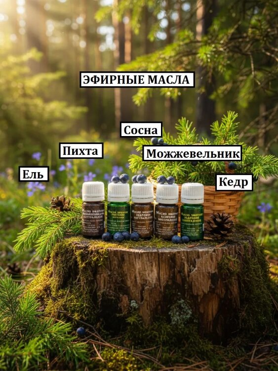 Эфирные масла набор для бани "Лесной дар" (пихта, ель, кедр, сосна, можжевельник) Траверна